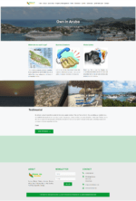 owninaruba.com